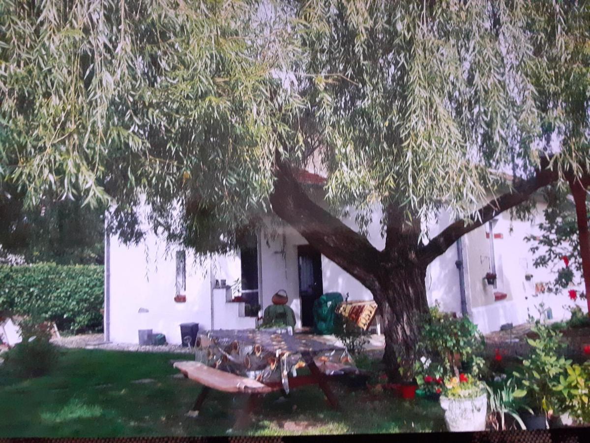 Peti Kaz Hotel Saint-Seurin-sur-l'Isle Buitenkant foto